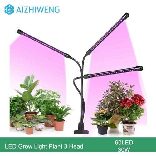 Aizhiweng Professional Lighting