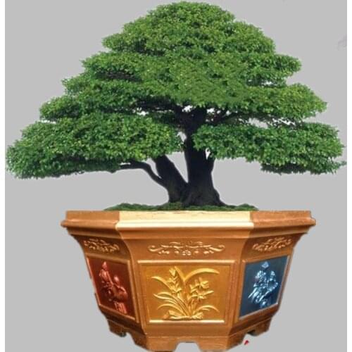 55cm/21.65in Octagonal Home Garden Decoration Bonsai DIY Lotus Flower Embossing Concrete big Craft Tool Flower Pot Planter Mold