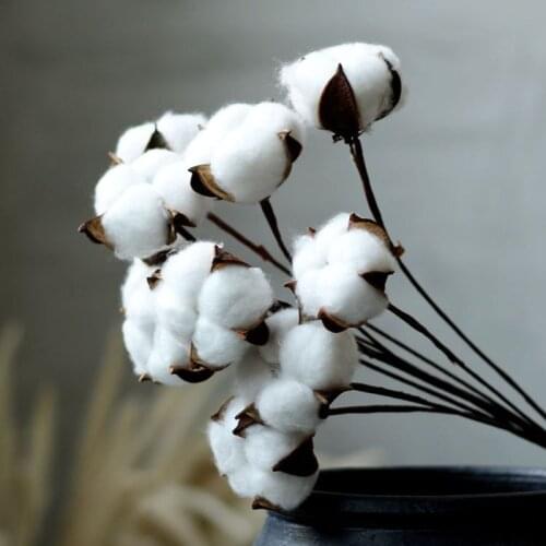 5/10pcs Naturally Dried Cotton Flower Artificial Plants Floral Branch For Wedding Party DIY Garland Fake Flowers Home Decor