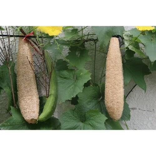 Household Merchandises Natural Loofah Bath Body Shower Sponge Scrubber Pad Massage Brush Body Shower Sponge Scrubber