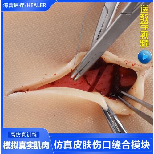 Student suture practice skin model simulation skin multiple wound suture module simulation surgical wound debridement suture