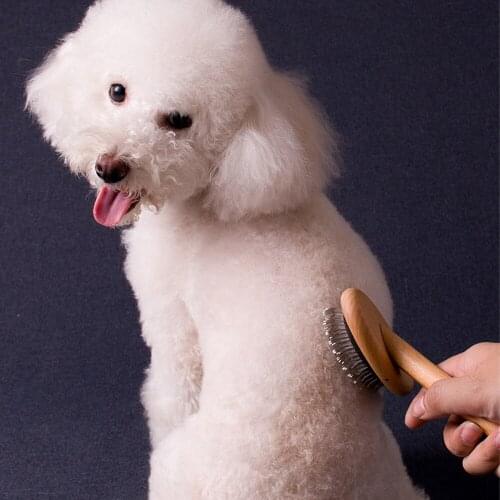 Square Head Round Head Beech Straight Handle Comb High Quality Not Easy To Break Dog And Cat Comb Wooden Models Dog And Cat Pet