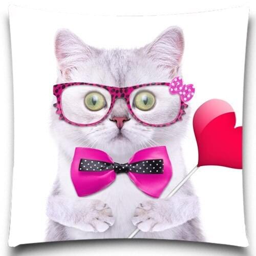 Colorful Lovely Cute Cat Square Throw Pillow Case for Bedroom/Office/Decorative