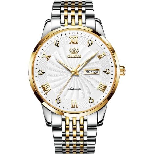 OLEVS Top Brand Men Automatic Mechanical Watch Waterproof Stainless Steel Strap Classic Mens Watch