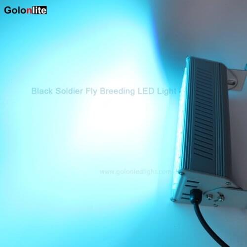 Black Solider Fly farming LED light 50W 100W 150W 200W breeding LED light for insect LED artificial light