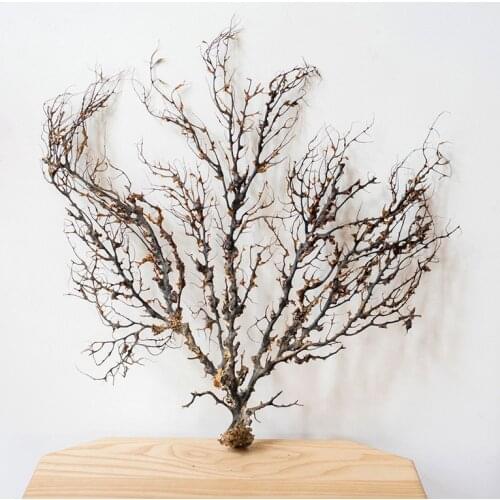 DIY 8/15/CM landscape Natural Coral Amtipathes sp specimen black Aquarium artware Plant Aquario Aquarium Decoration Ornament