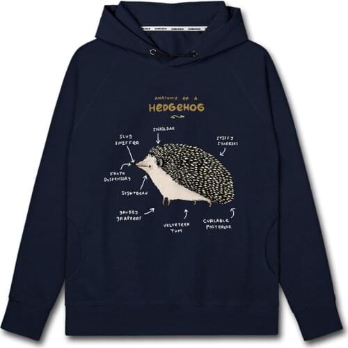 Japanese funny analysis picture rural hedgehog cartoon pattern mens hoodies Sportswear for men white men casual clothes autumn