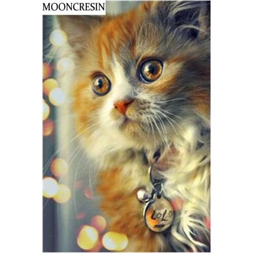 5D Diy Diamond Painting Cross-Stitch Kits Diamond Embroidery Cat Mosaic Pictures Of Rhinestones Paintings By Numbers Decoration