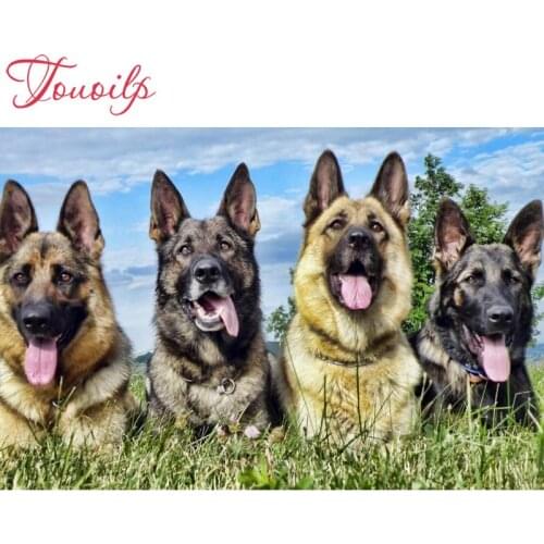 Touoilp 5D diamond embroidery square&round diamond sets decorative diy German Shepherd 5d diamond painting mountain