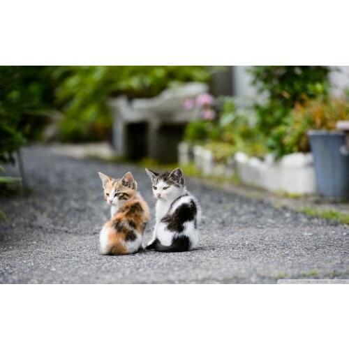 Living room home wall decoration fabric poster Young fellows