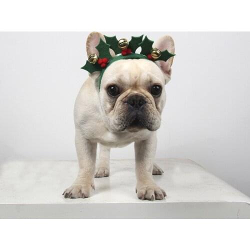 Cute Cartoon Calabash Brothers Green Leaves Head Hoop Pet Cat Dog New Year Christmas Hairpin Cartoon Hair Hoop Hat Party Decor