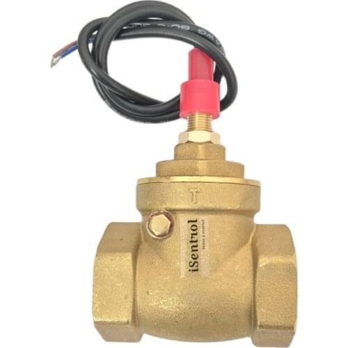 USB-FS10TA Baffle Type Flow Sensor Switch Reed Switch Brass Sensor Switch 8-50L/min 250V DC 70W 2 wire Saier Switch