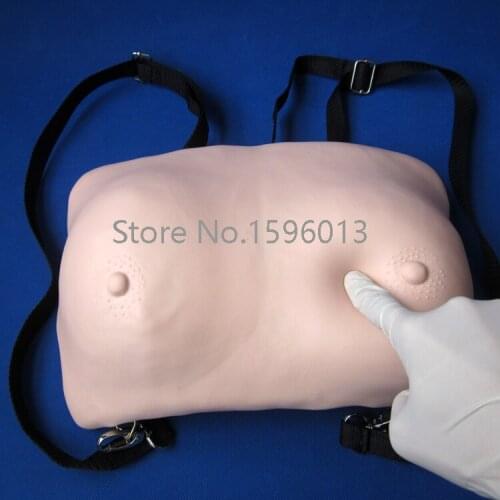 Breast Examination Simulator, Breast Self examination Model
