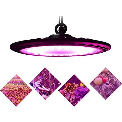 BEAMNOVA Plant Lamps