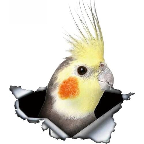 13cm X 11cm Cockatiel Parrot Lovely Bird Car Sticker Sunscreen Decal Laptop Motorcycle Car Accessories Custom Decal