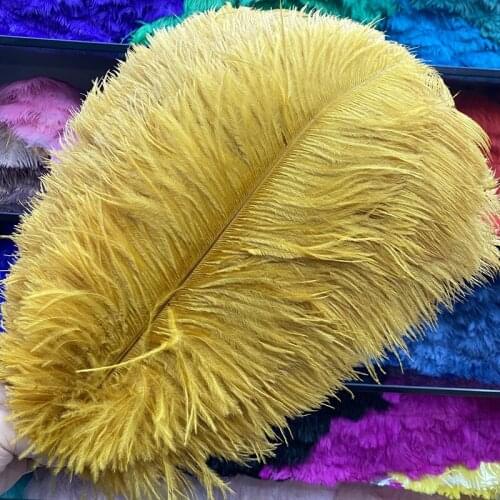 He New 100pcs/lot High Quality Gold Ostrich Feather Jewelry Carnival Craft Party Accessories Wedding Plume Plumas De Faisan