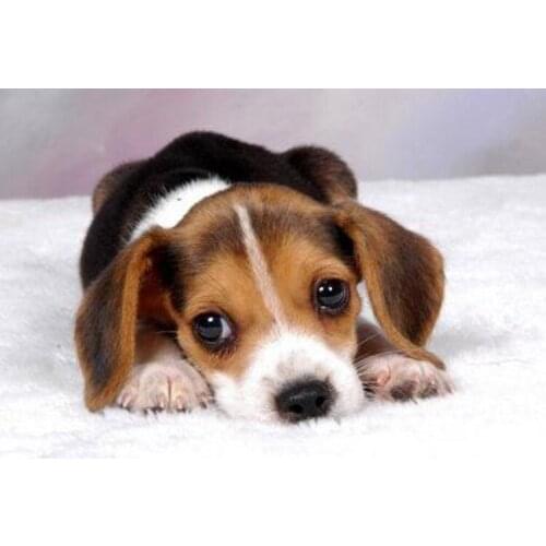 Diy diamond painting cross stitch diamond embroidery animal full round diamonds mosaic pictures Mosaic embroidered dog