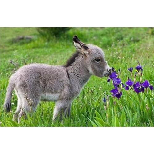 Diy Diamond Drawing 5D Square Complete Diamond Drawing Lovely Little Donkey And Floral Cross Stitch Home Decor