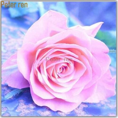 Peter ren Diy Diamond painting cross stitch 5d Full round crystal Rhinestone Mosaic Diamond embroidery Modern Pink flower rose