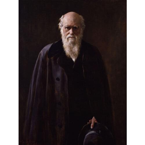 TOP ART # theory of evolution materialism Charles Robert Darwin painting PRINT oil painting on canvas-FREE SHIPPING