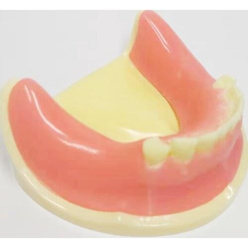 1 Piece Dental Implant Practice Teeth Model with Imitation Bone (Drilling) Silicone Soft Gum (Cutting/Stitching) Lower Jaw