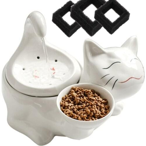 Electric Cat Fountain Pet Water Dispenser Electric Dog Drinking Fountain Cat Feeder Drink Filter USB Powered Lucky Cat Waterer