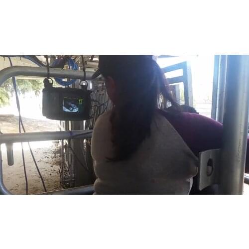 Portable KX5200 ultrasound scanner price veterinario portatil ecografo ultrasonido machine