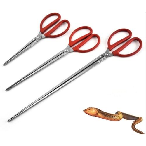 Ricefield eel Crackers finless eel clip stainless steel multi-purpose scissors albus picks