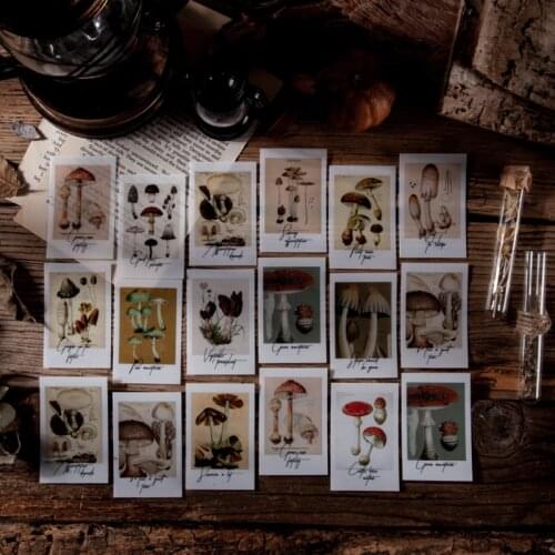 30Pcs/lot Vintage Plant Mushroom Flower Leaf PET Stickers Package DIY Diary Journal Decoration Label Sticker Album Scrapbooking