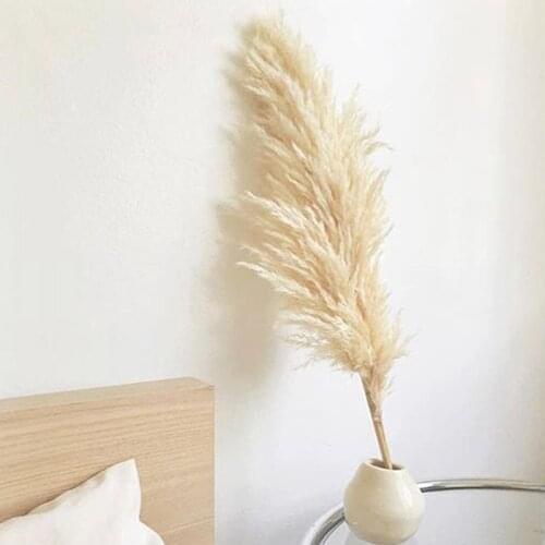 10pcs 60cm Pampas Grass Dried Flower Plant Table Art Bedroom Room House Gazebos Patio Home Party Wedding Decor Photography Props