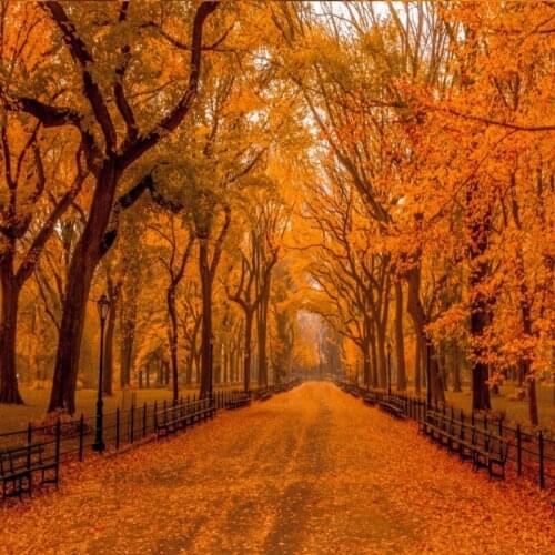 Dropship Colomac Wallpaper Forest Red Fire Forest Red Deciduous Wallpaper for Bedroom Walls Wall Murals Papier Peint Mural 3d