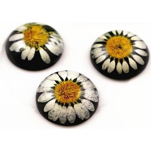 New Fashion 5pcs 25mm Natural Dried Flowers Flat Back Resin Cabochons Cameo G3-01