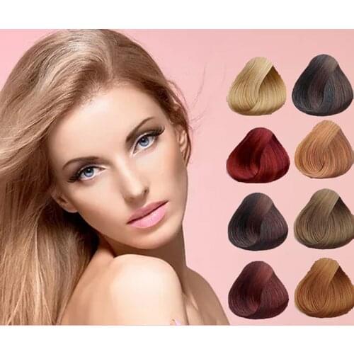 1 Pcs Hair Shampoo Hair Color Natural Instant Hair Dye Only 5 Minutes White Grey Hair Cover Up Ginger Extracts Hair Styling Tool