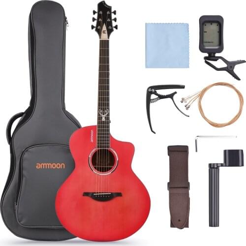 Ammoon Stringed Instruments