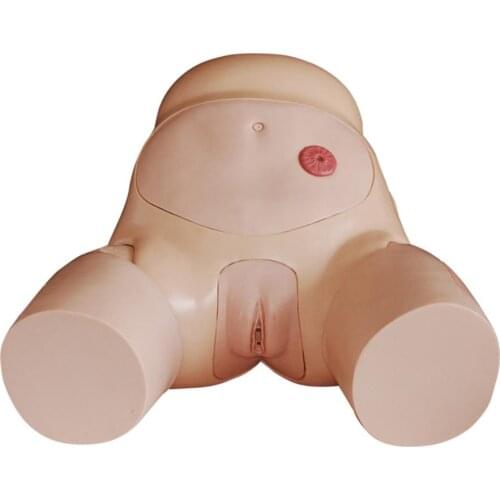 Training manikin Medical teaching Nursing skills Advanced Female Urethral Catheterization Simulator