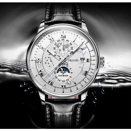 JSDUN Top Brand Business Mens Mechanical Automatic Watch Leather Waterproof Sports Luxury Moon Phase Watch Relogio Masculino