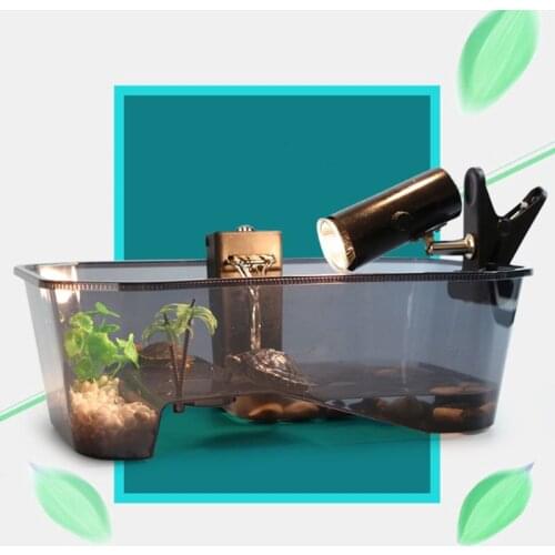 Reptile Vivarium Box Turtle Tortoise with Basking Ramp Aquarium Tank Breeding Food Tool Accessories