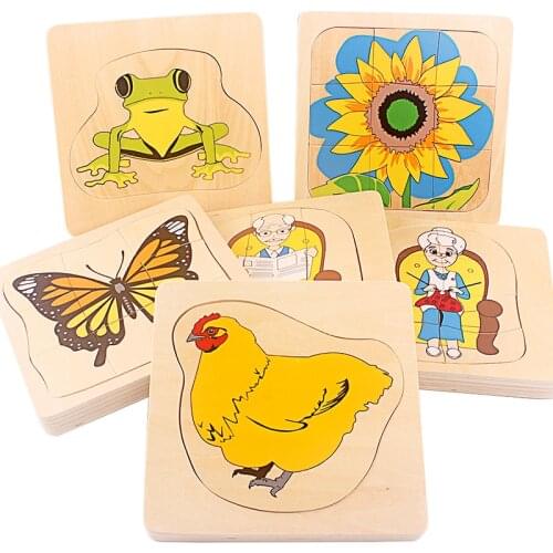 Baby Toys Montessori Materials Biology Wood Toy Life Cycle of Frog Animals Plant Human Hen Butterfly Biological Life Educational
