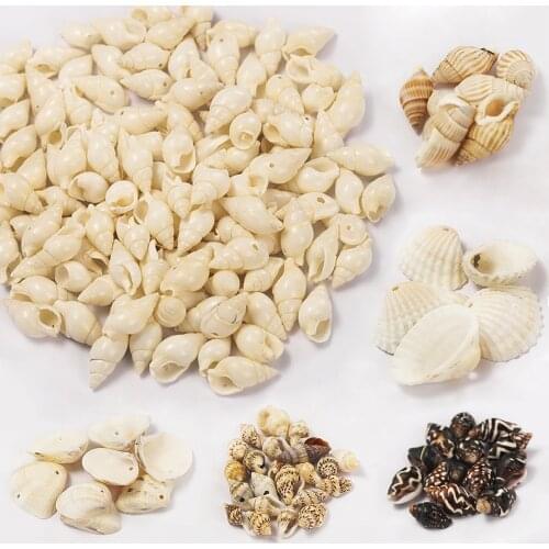 50g DIY Seashell Cowrie Conch Beads Beach Jewelry Accessories for Women Sea Shells Earrings Bracelet Necklace Making Wholesale