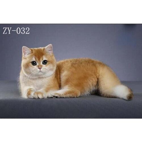 DAWNKNOW Pet Cat Photography Background Backdrop Uniquely Texture Photocall Oil Painting Pro Tie-Dyed Muslin Photo Studio 2x3M