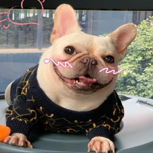 Luxury Dog Sweater for Small Medium Dogs Winter Warm Sweater for French Bulldog Print Coat Pet Clothing Puppy Costume B1139