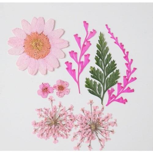 1 Package Real Dried Mixed Flower Dry Plants For Epoxy Resin Pendant Necklace Jewelry Making Craft DIY Accessories