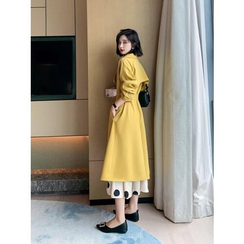 Windbreaker Womens Middle Long 2021 New Korean Fashion Spring and Autumn High-end Temperament Thin Over the Knee Popular