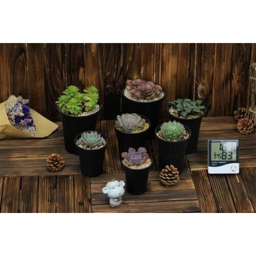 Free shipping,Vientiane Basin.black color,plastic succulents pots,flower pot plants,garden supplies,wholesale flowerpot