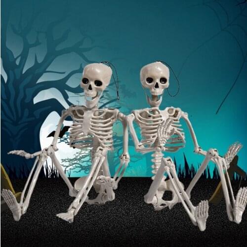 60CM spoof Active Human skeleton Model Anatomy Skeleton Movable Skull Halloween Props Medical Learning Halloween Party Decor