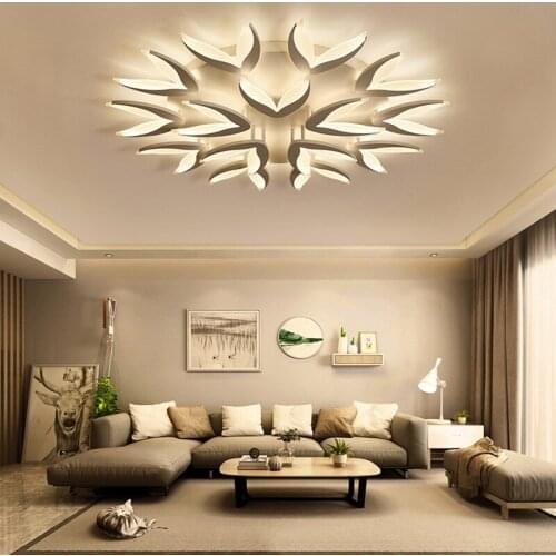 HSHIXINMAO Creative Acrylic LED Ceiling lamps Residential Indoor Ceiling Lights Commercial & office Lighting fixture