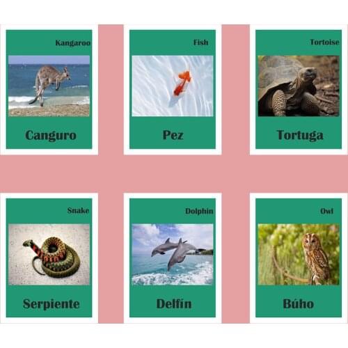 Spanish/English Animals Words Card Phonics Words Flashcards Learning Educational Toys For Children juguetes educativos kids game