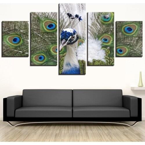 HD Printed 5 Pieces Canvas Art Abstract Animal peacocks Oil Painting Wall Pictures for Living Room Decor Animals Posters