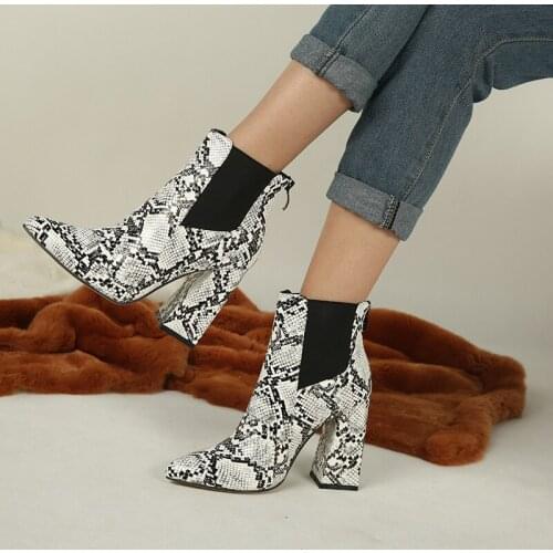 Thick High Heels Woman 2020 Snake Booties Female Ankle Boot Women Shoes Zip Female Winter Footwear Martin boots