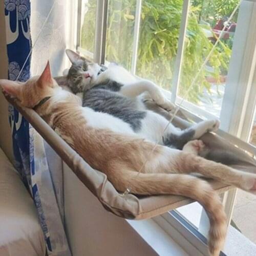 Cats Bed Cat Window Perch Sunbath Seat with Suction Cups Space Saving Resting Hammock for Pets Up to 35g/38Lbs